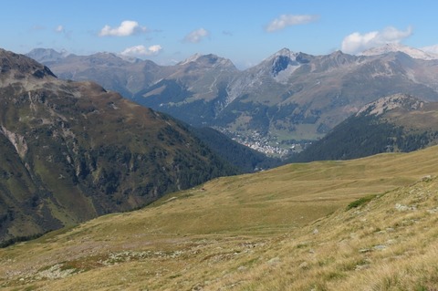 IMG_1645.jpg