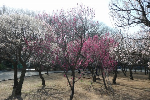 P1000258.jpg