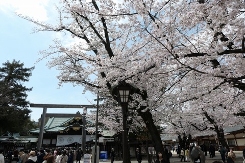 P1000573.jpg