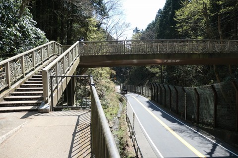 P1000735.jpg