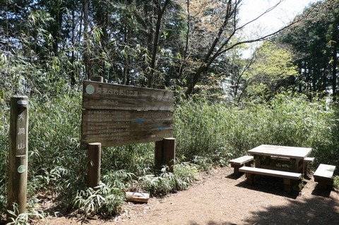 P1000741.jpg