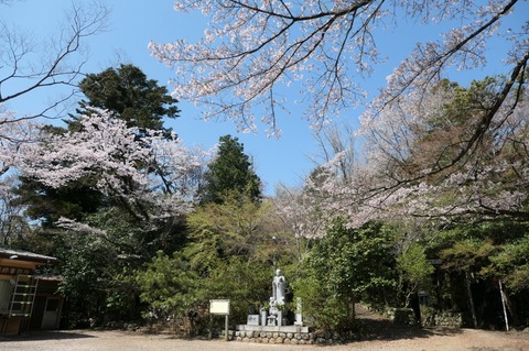 P1000793.jpg