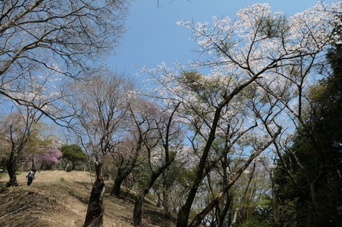 P1000854.jpg