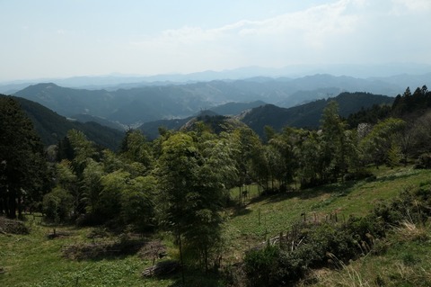 P1000871.jpg