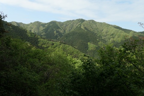 P1000927.jpg