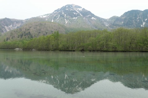 P1001086.jpg
