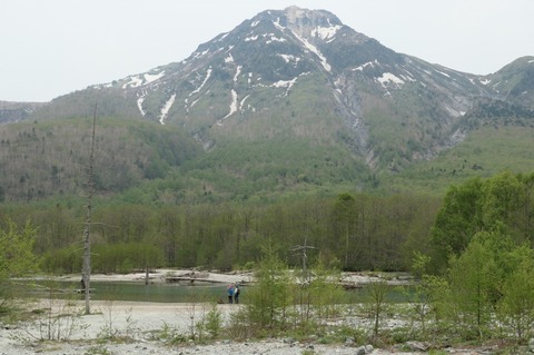 P1001100.jpg