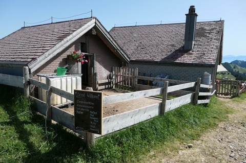 P1002622.jpg