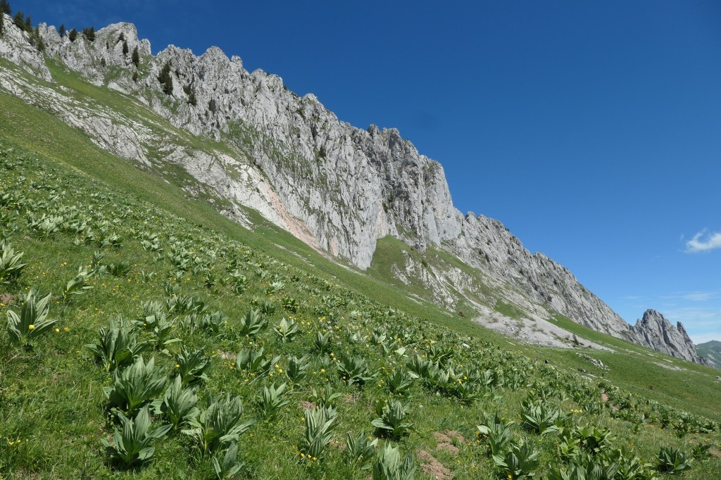 山崎数男「モンブランへアルプスの街」約6号水彩,郷愁のアルプス臨場感