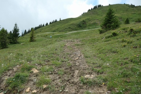P1004134.jpg