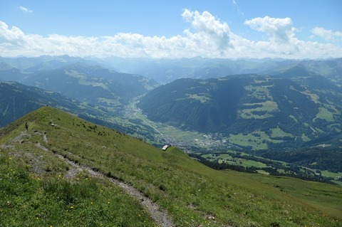 P1004221.jpg