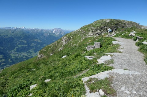 P1004379.jpg