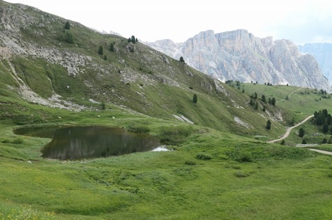 P1020363.jpg