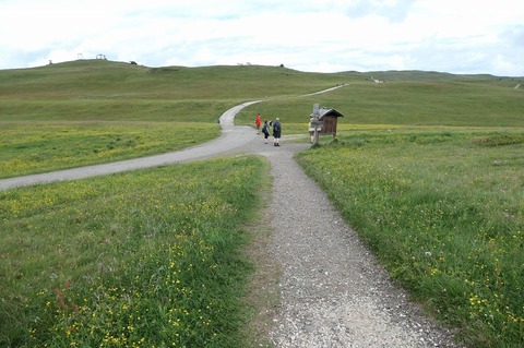 P1021072.jpg