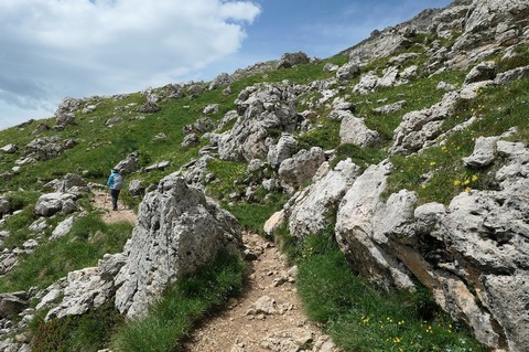 P1021729.jpg