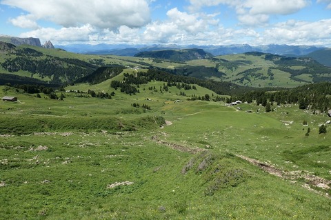 P1021935.jpg