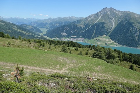 P1023384.jpg