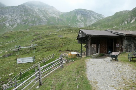P1023846.jpg