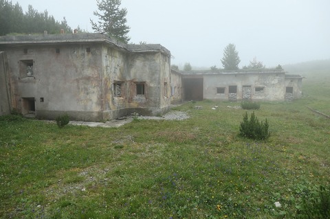 P1023933.jpg