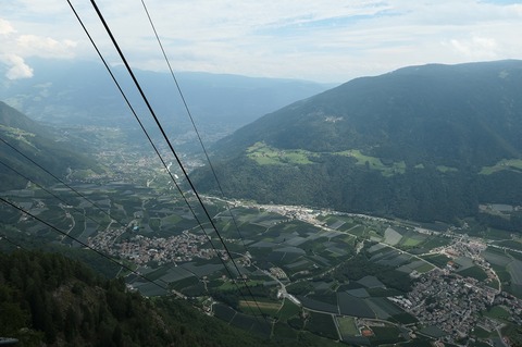 P1024161.jpg