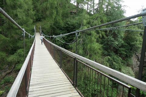 P1024233.jpg