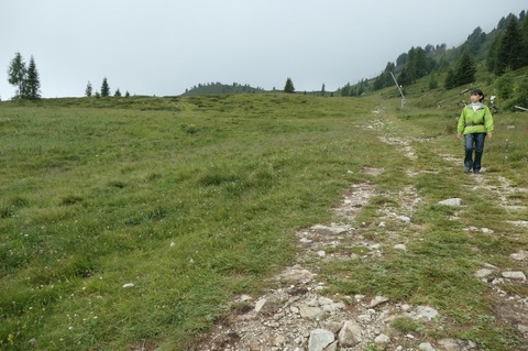 P1024804.jpg