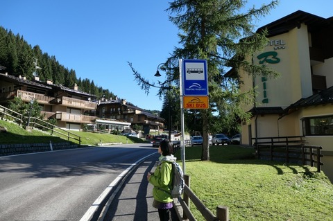 P1024850.jpg