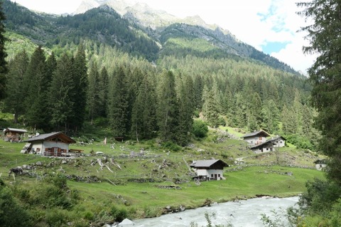P1025179.jpg