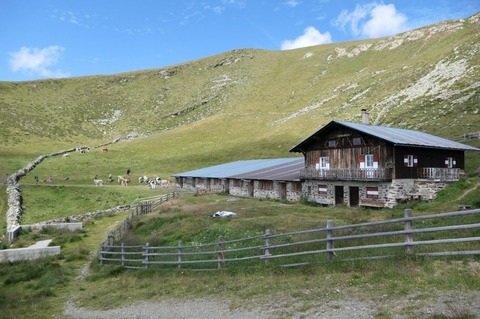 P1025494.jpg