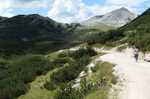 P1026767.jpg