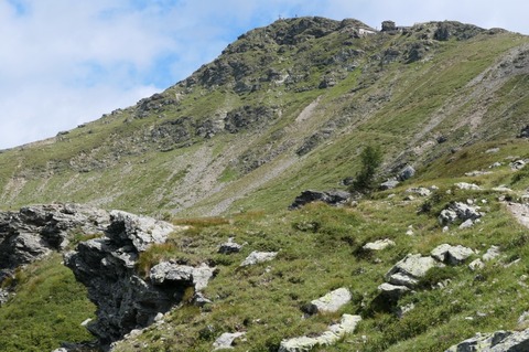 P1026887.jpg