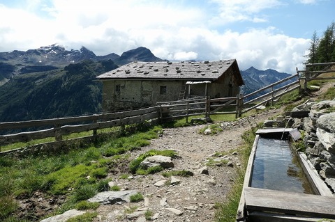 P1027492.jpg