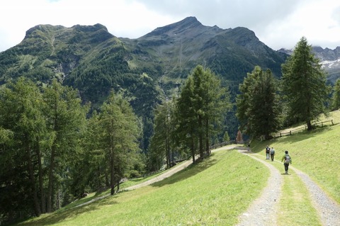 P1027534.jpg