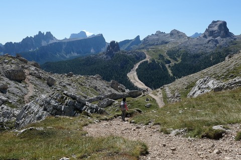 P1028658.jpg