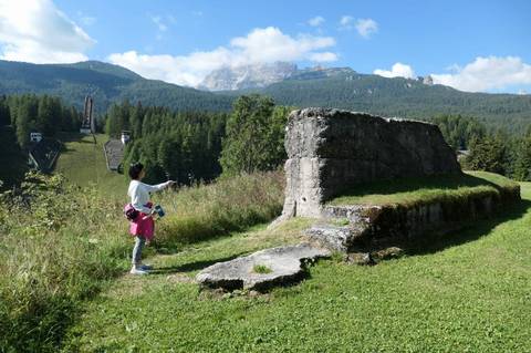 P1029031.jpg