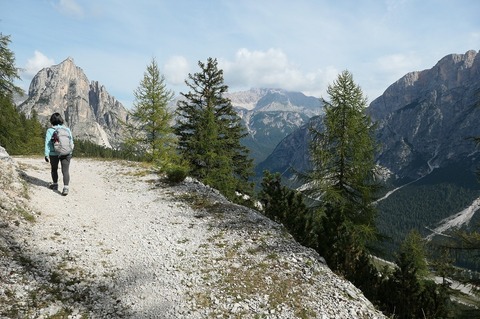P1029566.jpg